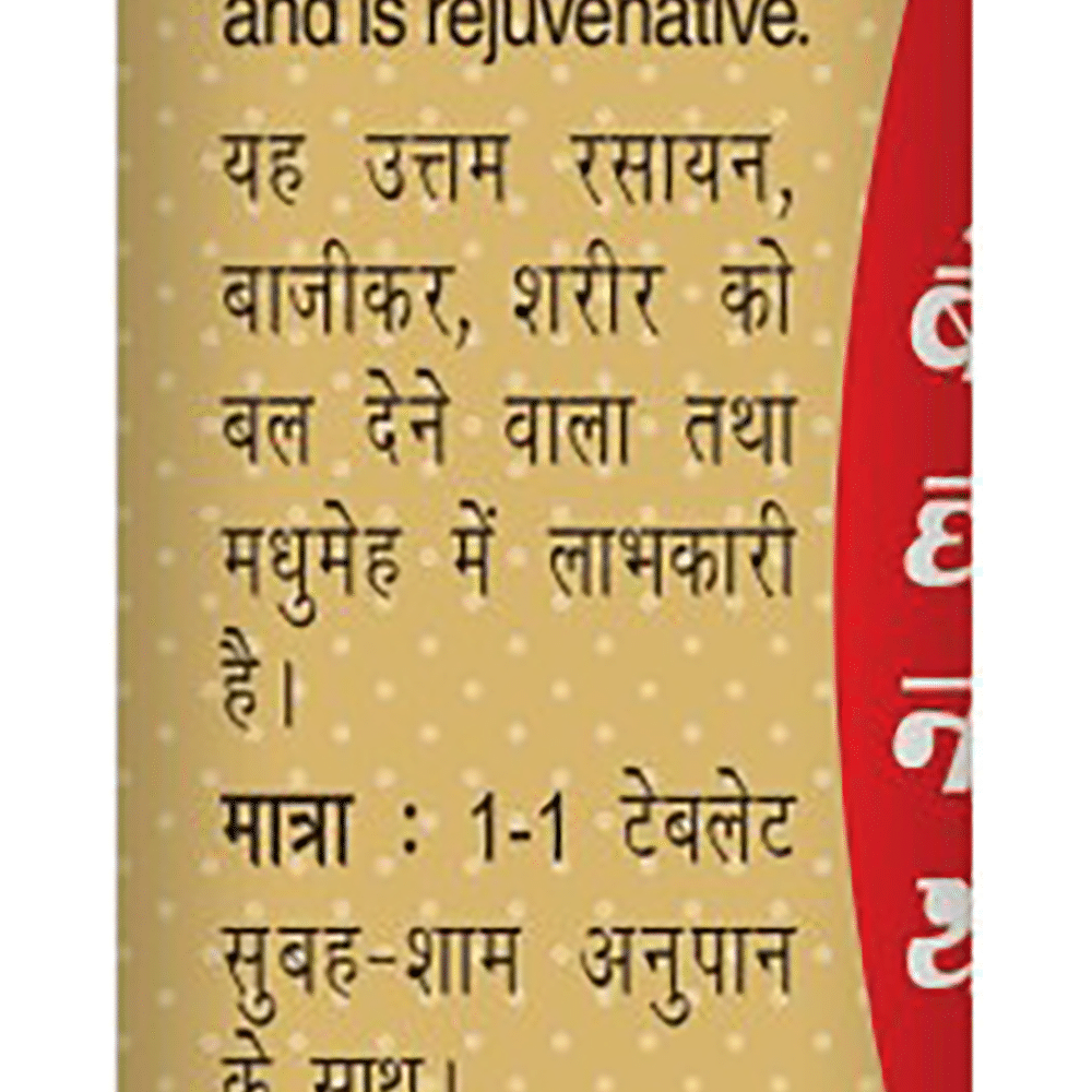 Baidyanath (Noida) Basant Kusumakar Ras (Swarna Yukt) | For Blood Sugar & General Debility Tablet - Image 3