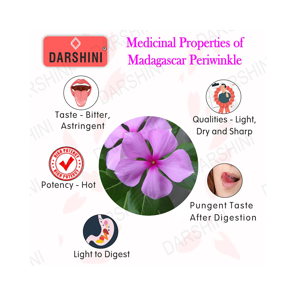 Darshini Sadabahar / Sadapushpa / Madagascar Periwinkle Powder - Image 3