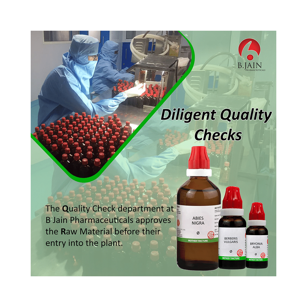 Bjain Curcuma Longa Mother Tincture Q - Image 3