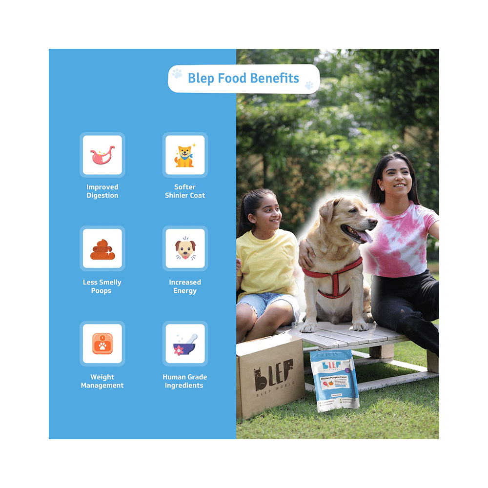 Blep World Chicken Pumpkin Pawer Wet Dog Food (100gm Each) - Image 7