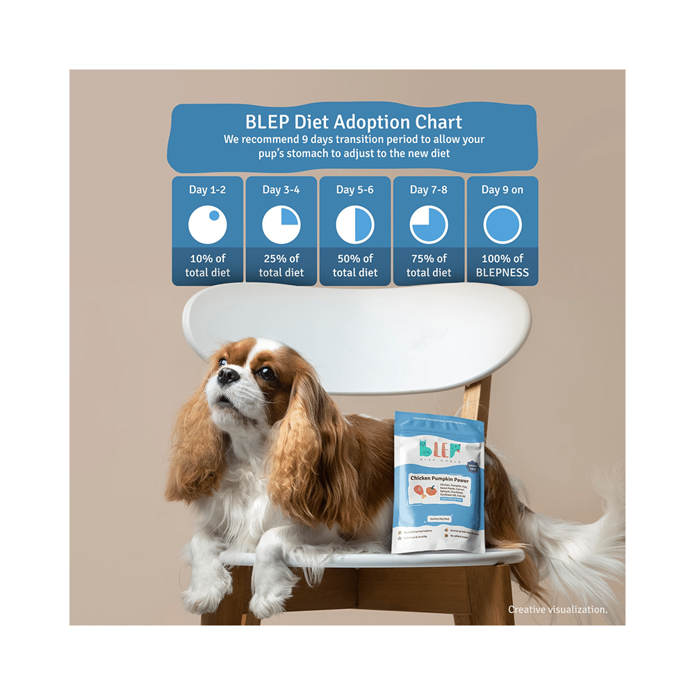 Blep World Chicken Pumpkin Pawer Wet Dog Food (100gm Each) - Image 6