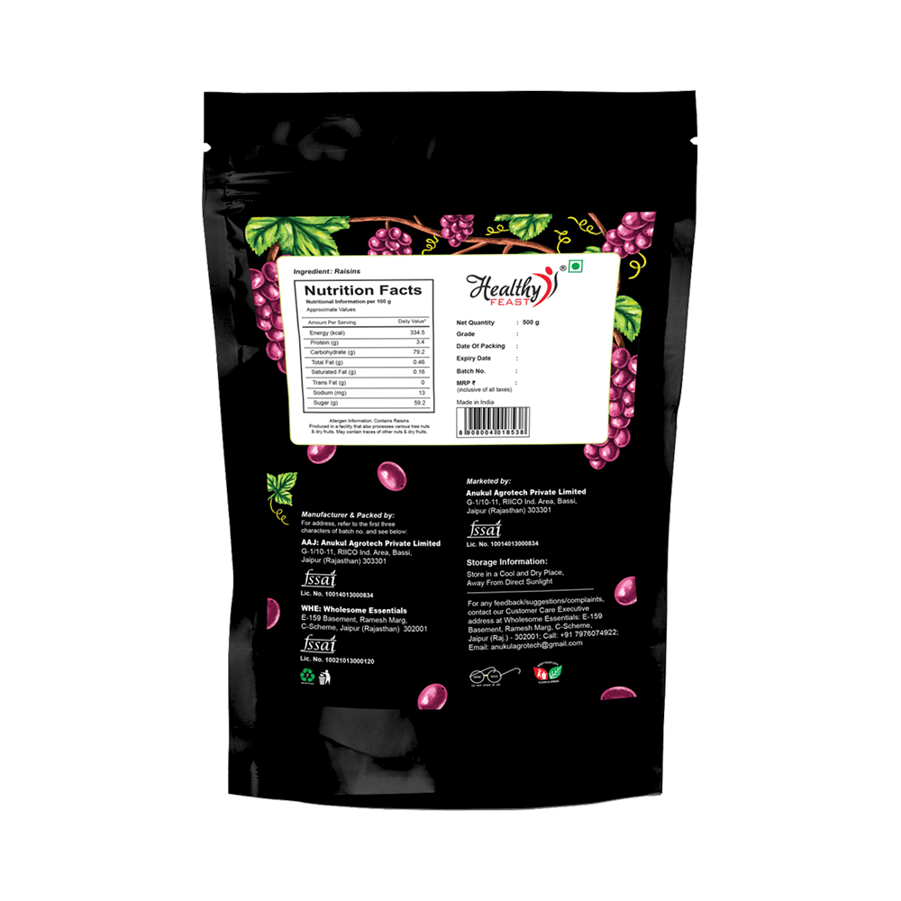 Healthy Feast Premium Quality Raisins - Image 2