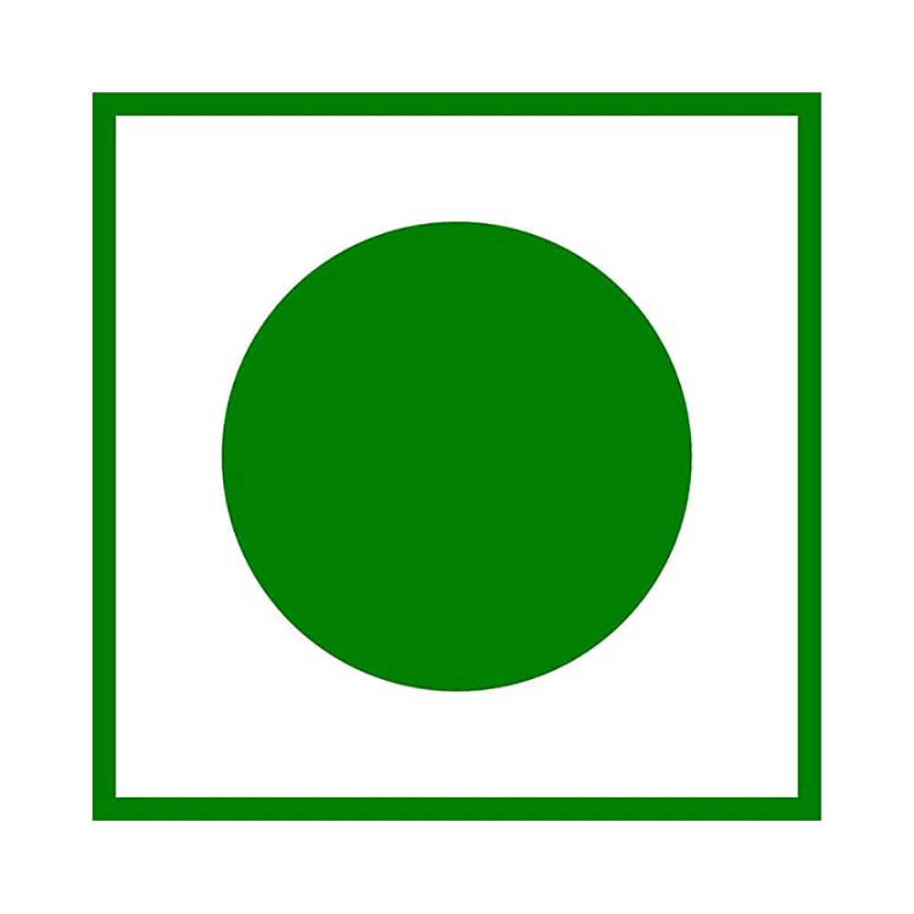 Healthy Feast Premium Quality Raisins - Image 5