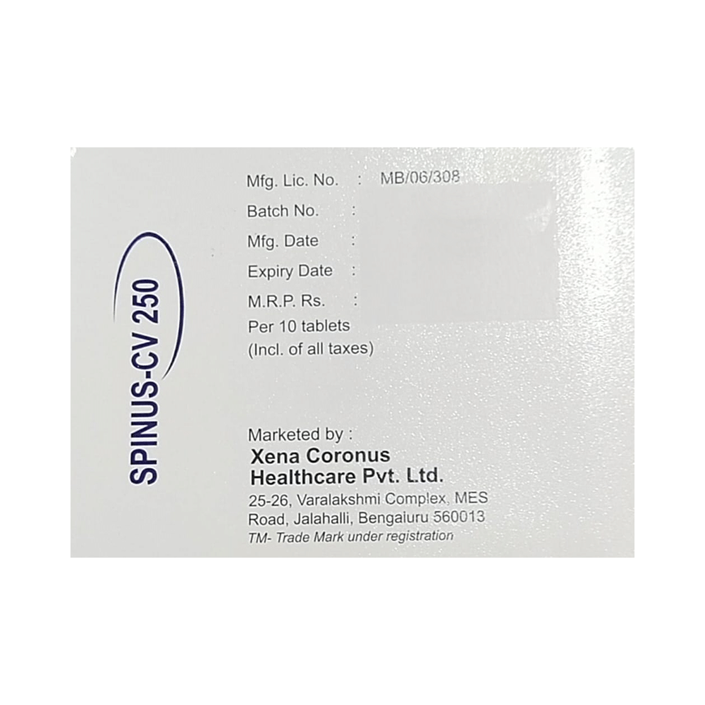 Spinus-CV 250 Tablet - Image 3