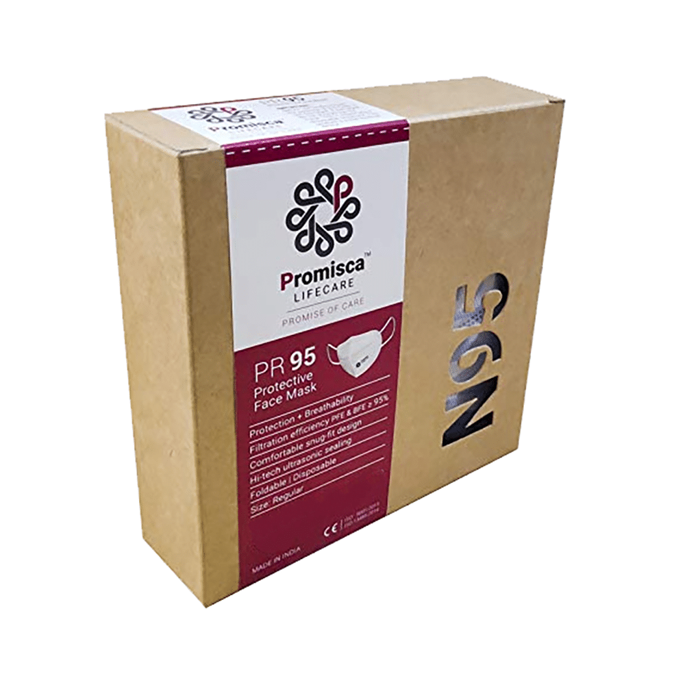 Promisca PR 95 N95 Protective Face Mask Regular Grey