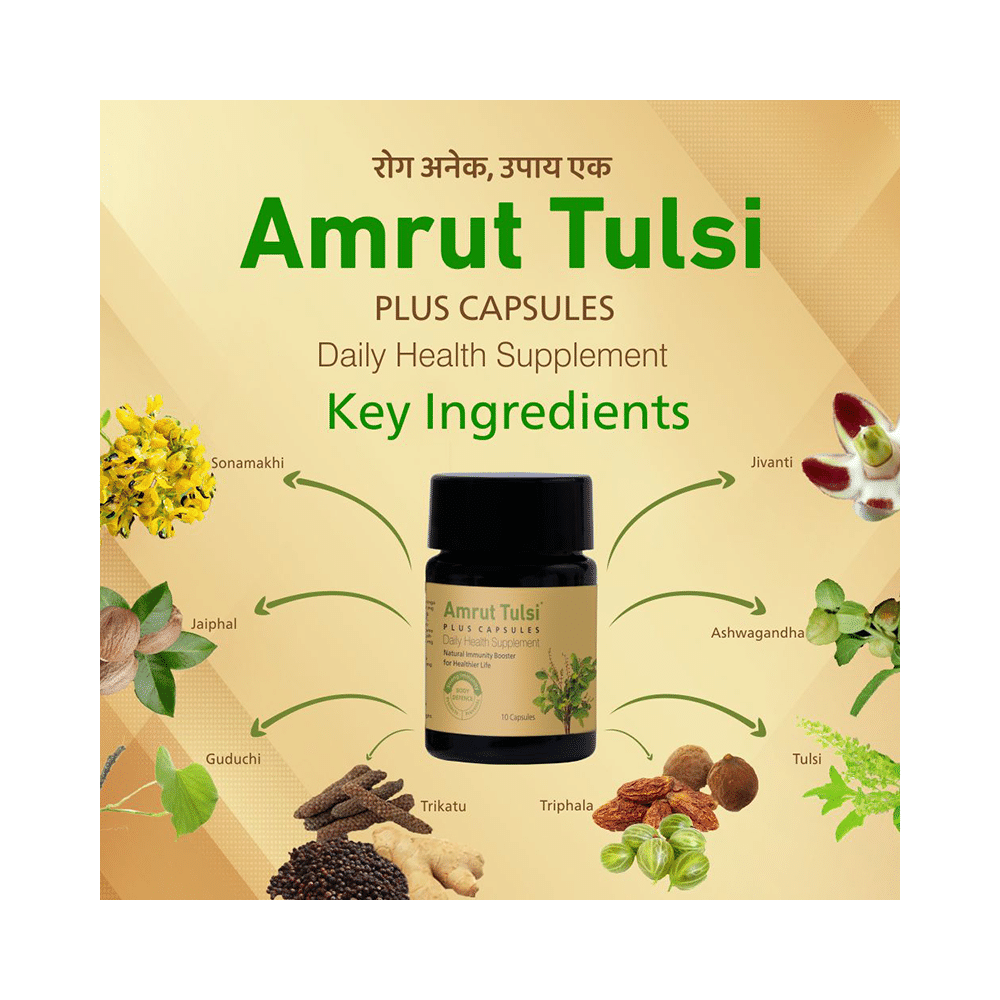 Amrut Tulsi Plus Capsule - Image 4