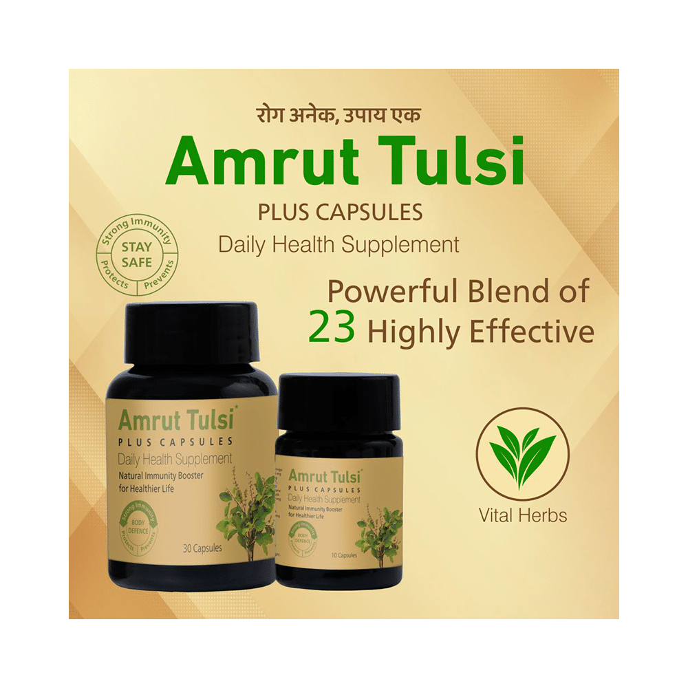 Amrut Tulsi Plus Capsule - Image 3