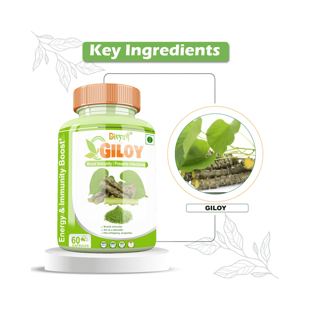 Divya Shree Giloy Capsule - Image 5