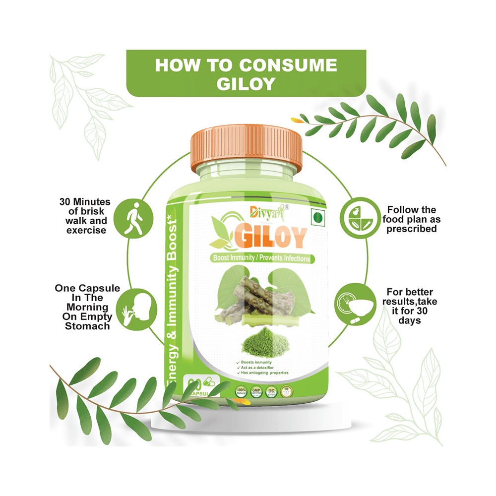 Divya Shree Giloy Capsule - Image 2