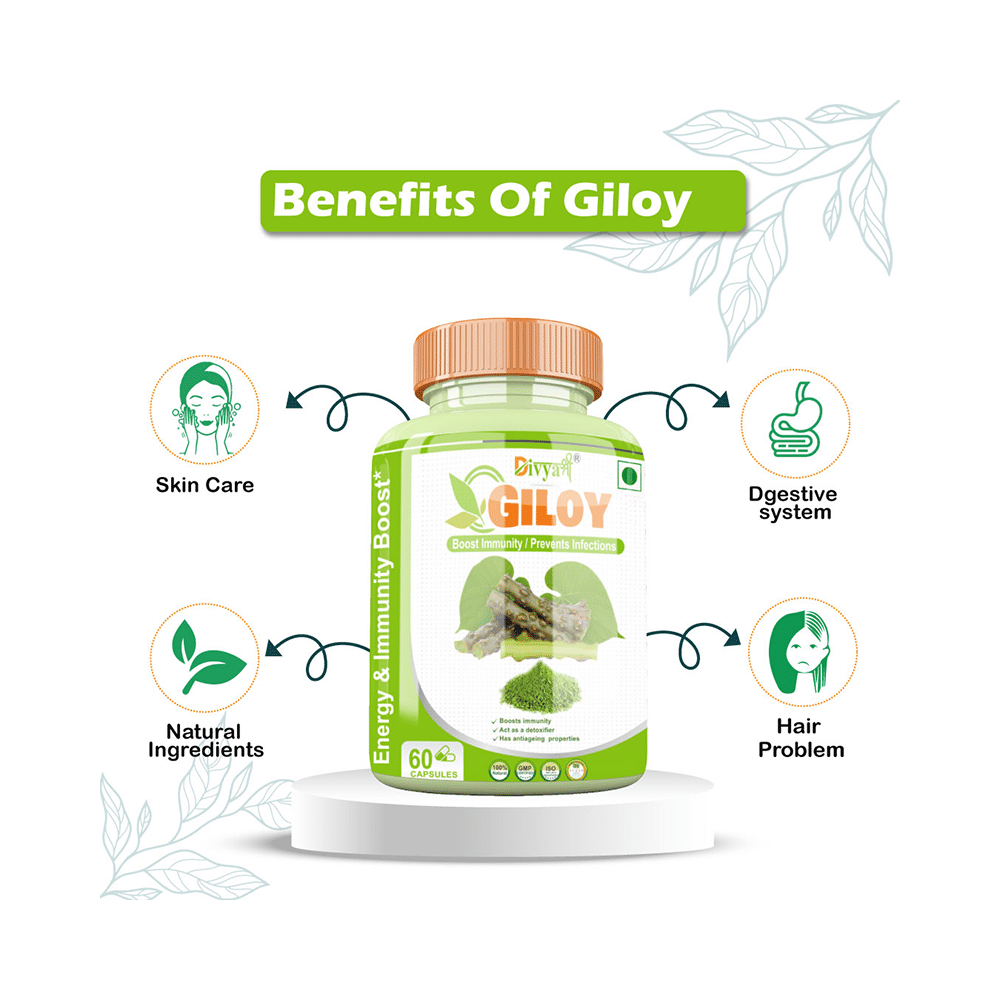 Divya Shree Giloy Capsule - Image 3