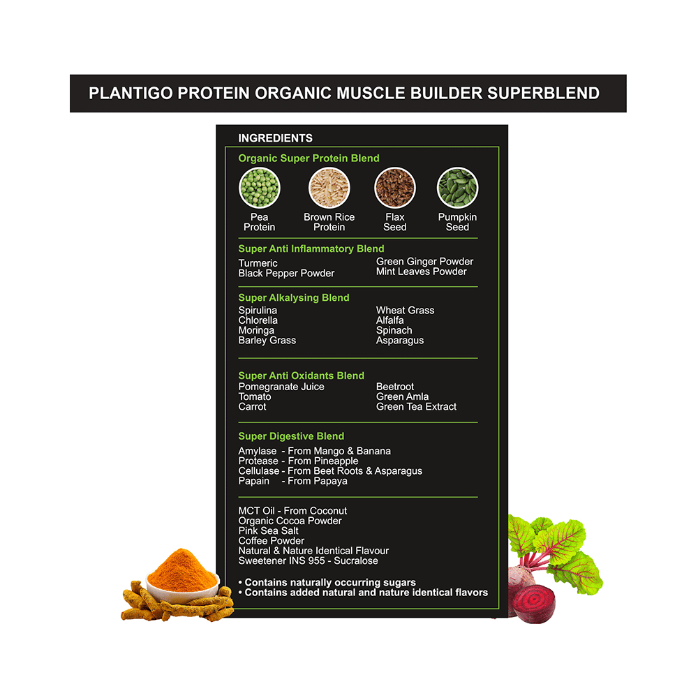 Plantigo Plant Based Protein Powder Milk Chocolate - Image 5