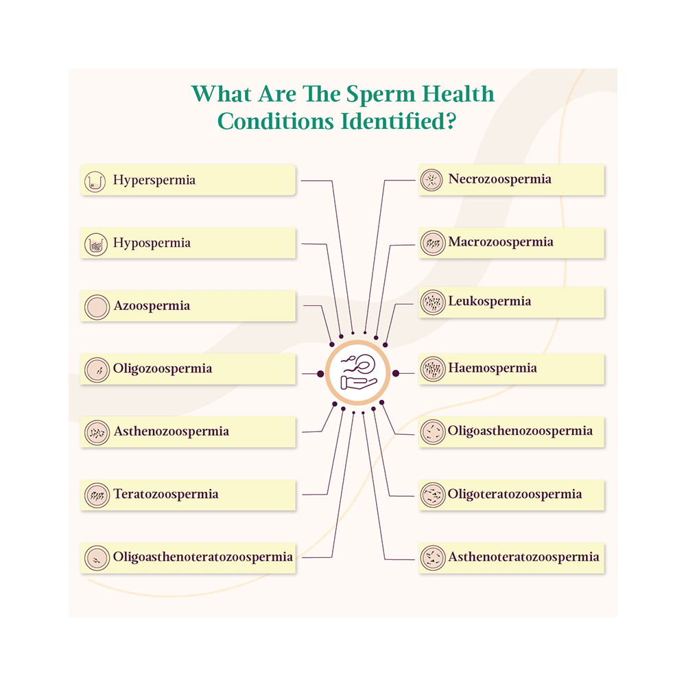 LifeCell SpermScore  At-home Self Collection Test for Fertility Check - Image 6