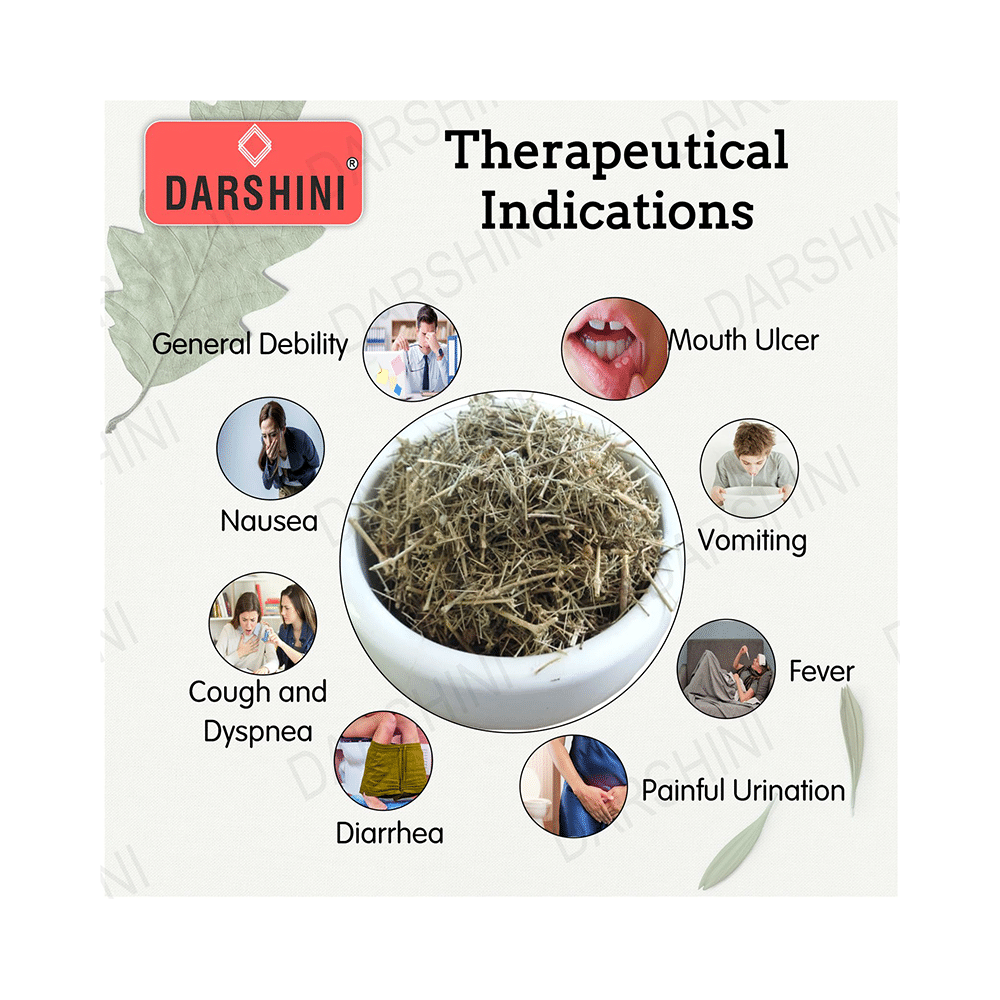 Darshini Dhamasa / Dhamaso / Damasha / Fagonia Cretica Powder - Image 4