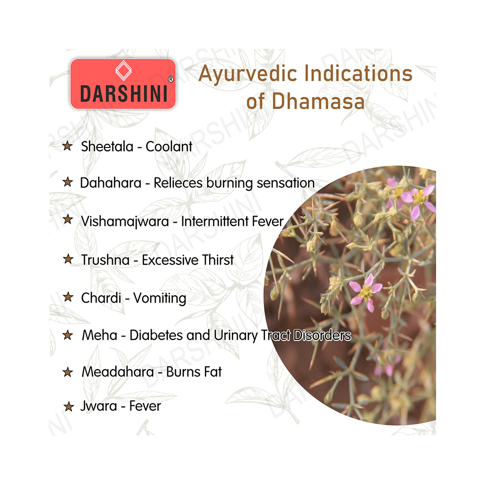 Darshini Dhamasa / Dhamaso / Damasha / Fagonia Cretica Powder - Image 5