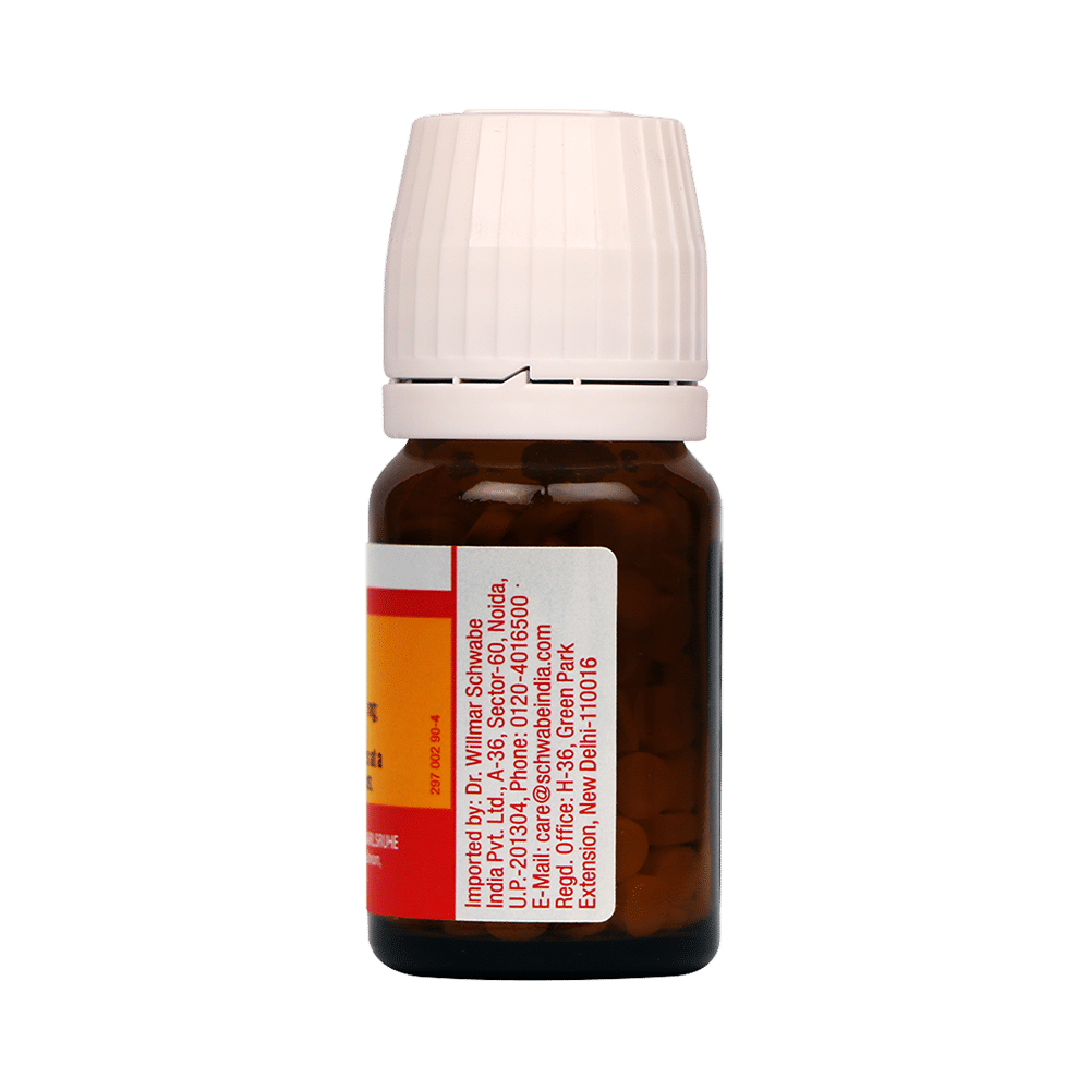 Dr Willmar Schwabe Germany Bio-Plasgen 17 Tablet - Image 2