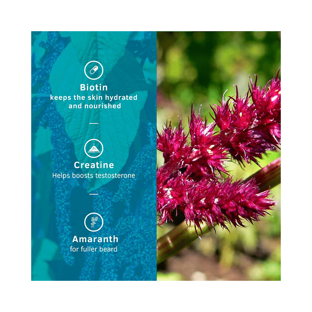 Ustraa Beard Growth Supplement - Image 5