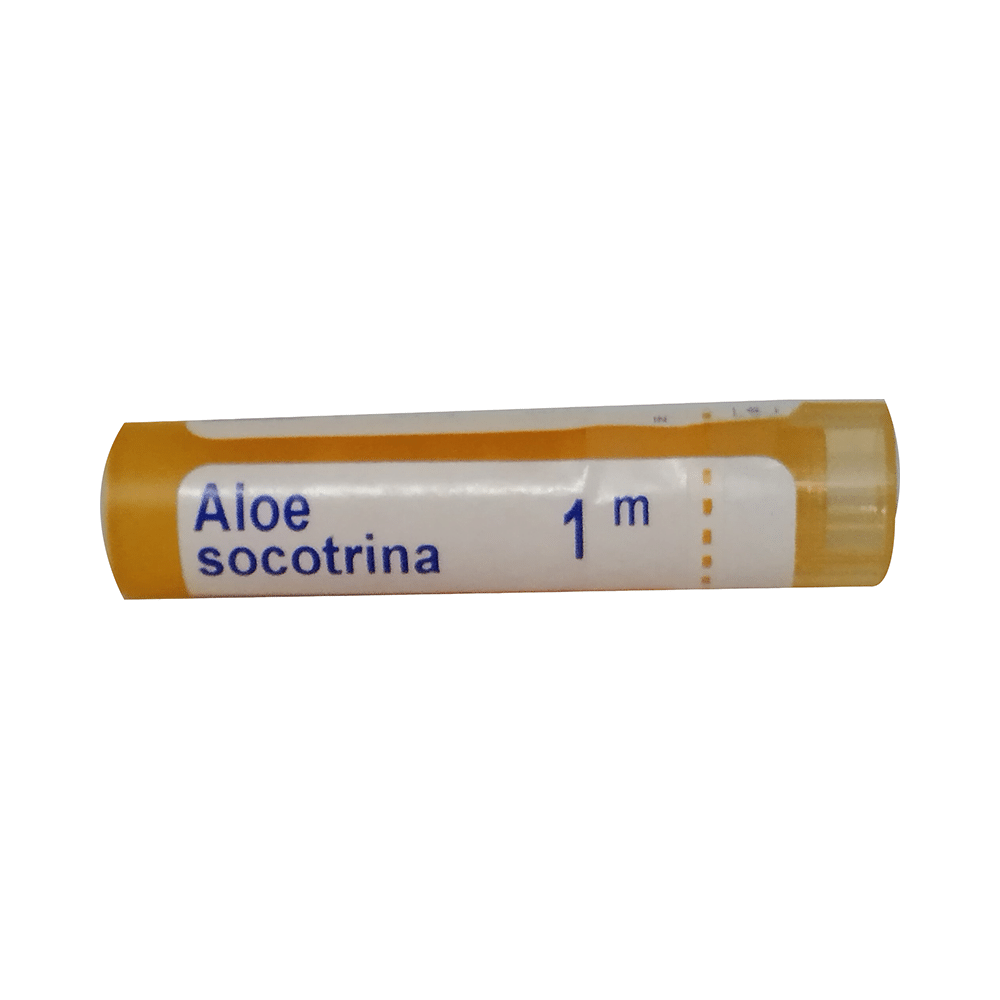 Boiron Aloe Socotrina Pellets 1M - Image 1