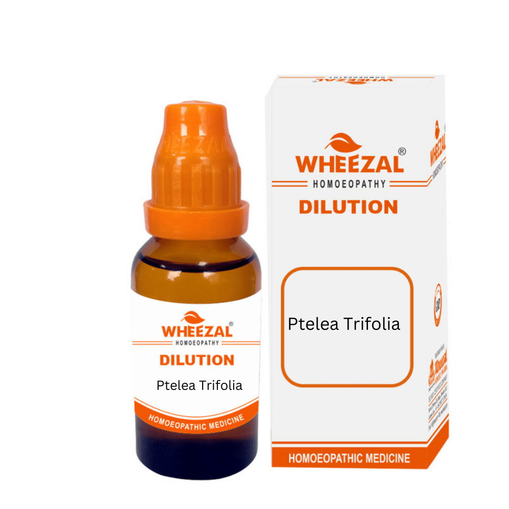 Wheezal Ptelea Trifolia Dilution 200 - Image 1