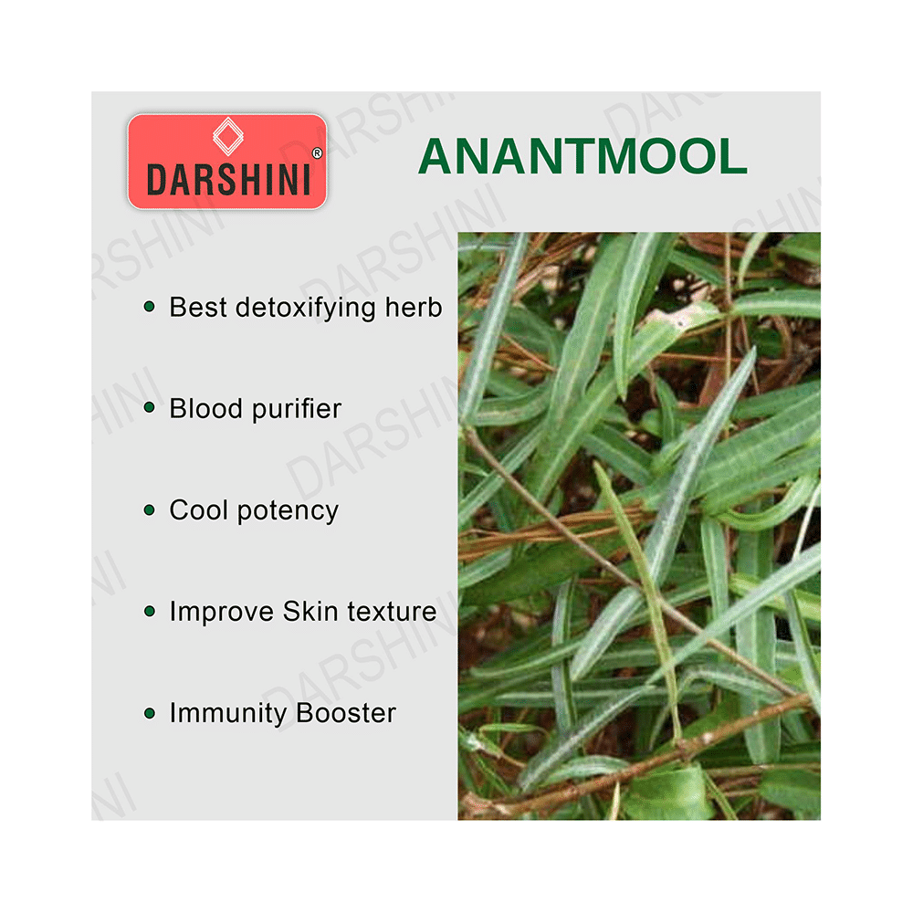 Darshini Anantmool / Anantmul / Indian Sarasaparilla / Hemidesmus Indicus Powder - Image 5
