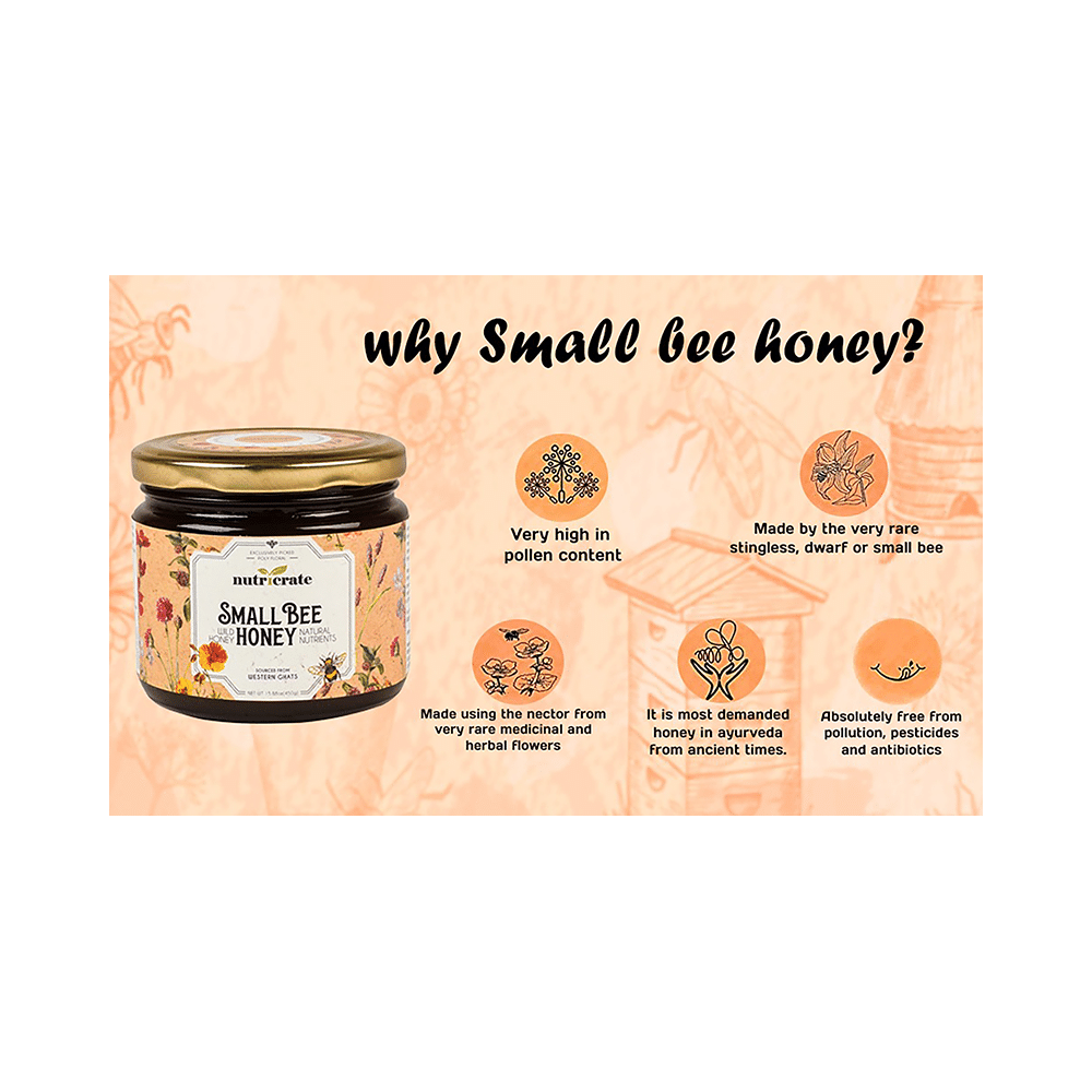 Nutricrate Small Bee Honey - Image 4