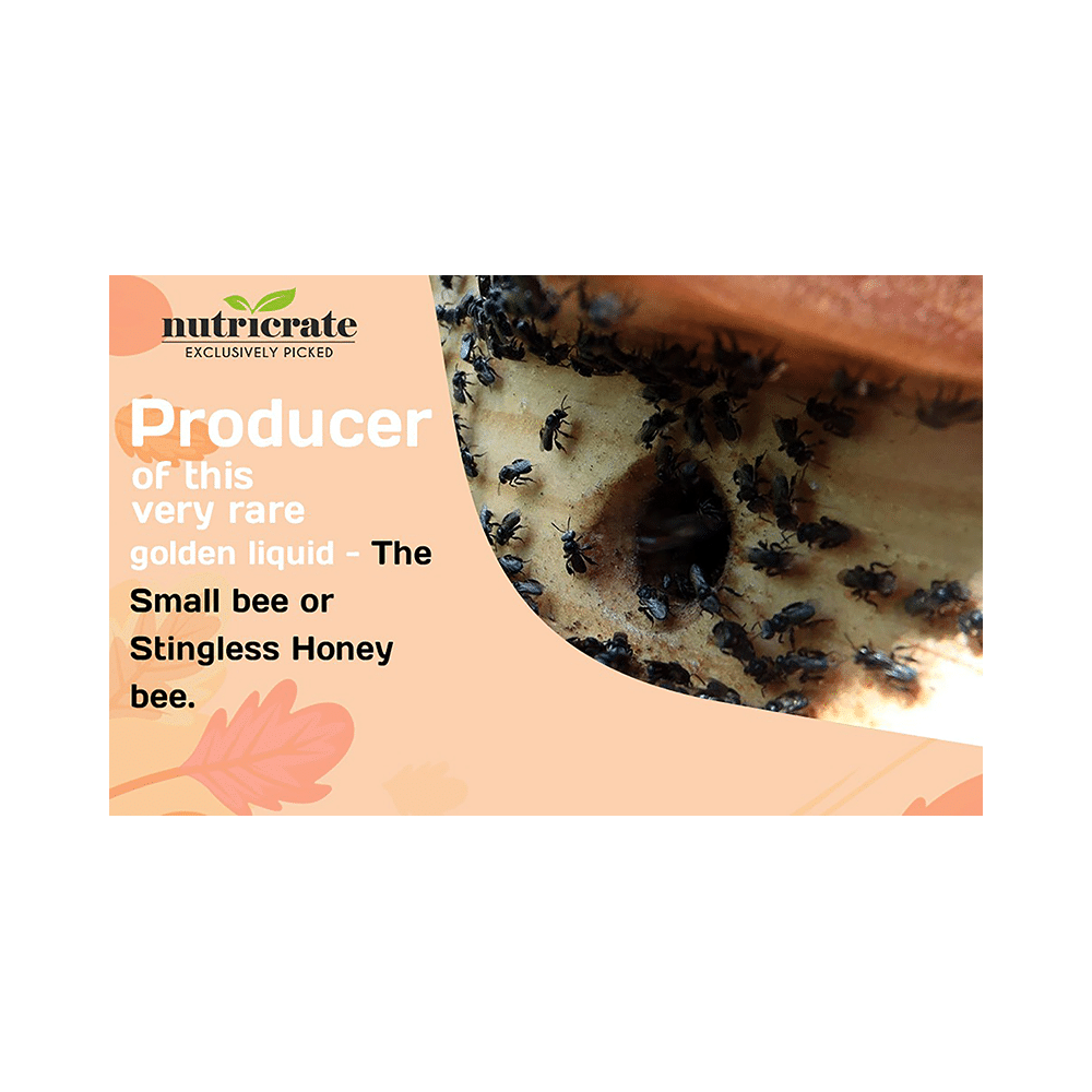Nutricrate Small Bee Honey - Image 3