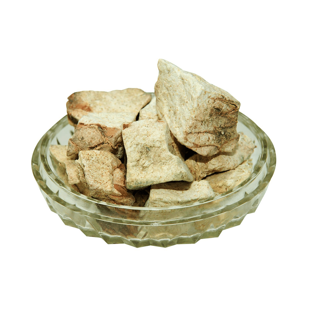 JJW Mart Indian Kudzu - Image 3