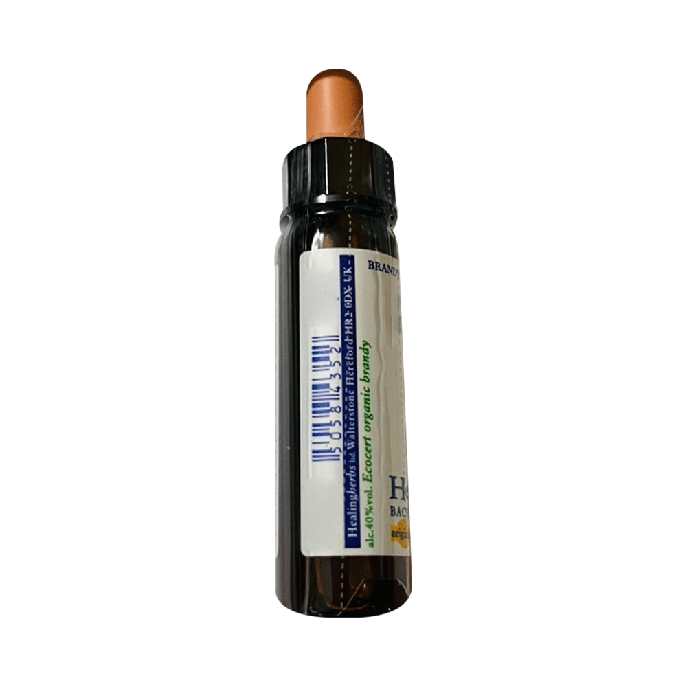 Healing Herbs Bach Flower Walnut - Image 4