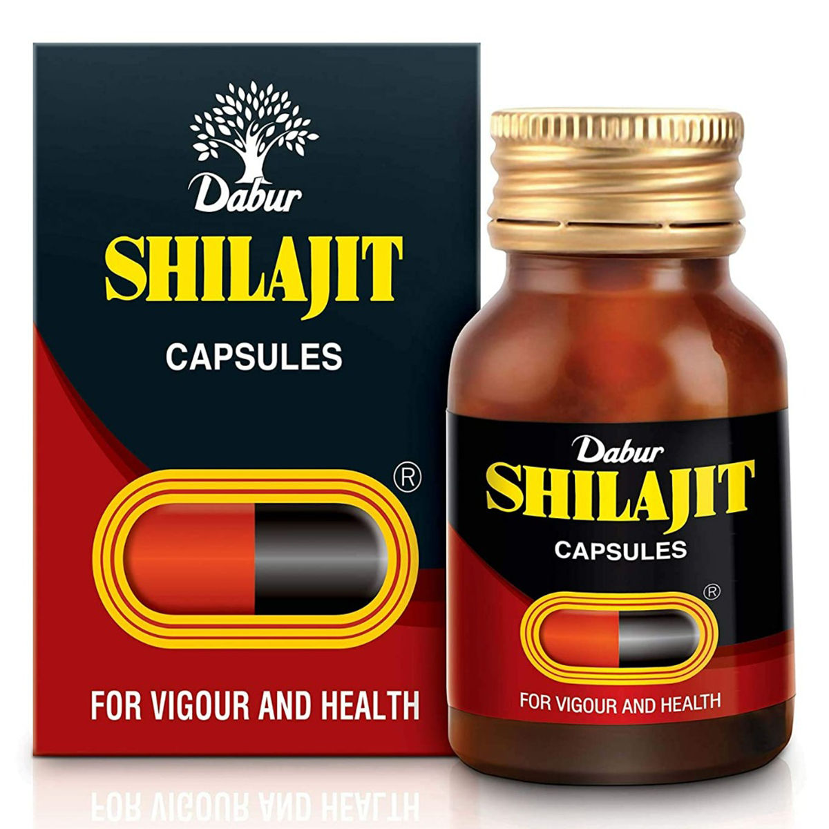 Dabur Shilajit Ayurvedic Capsules - Image 1