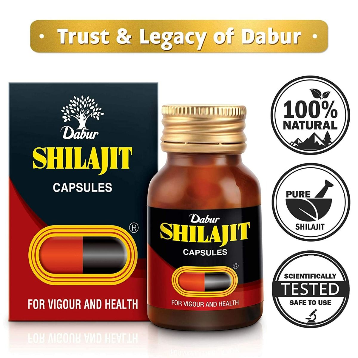 Dabur Shilajit Ayurvedic Capsules - Image 4