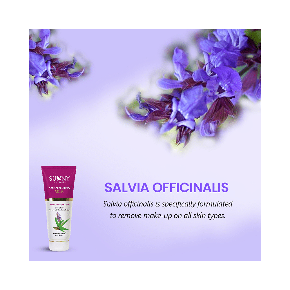 Sunny Herbals Deep Cleansing Milk - Image 3
