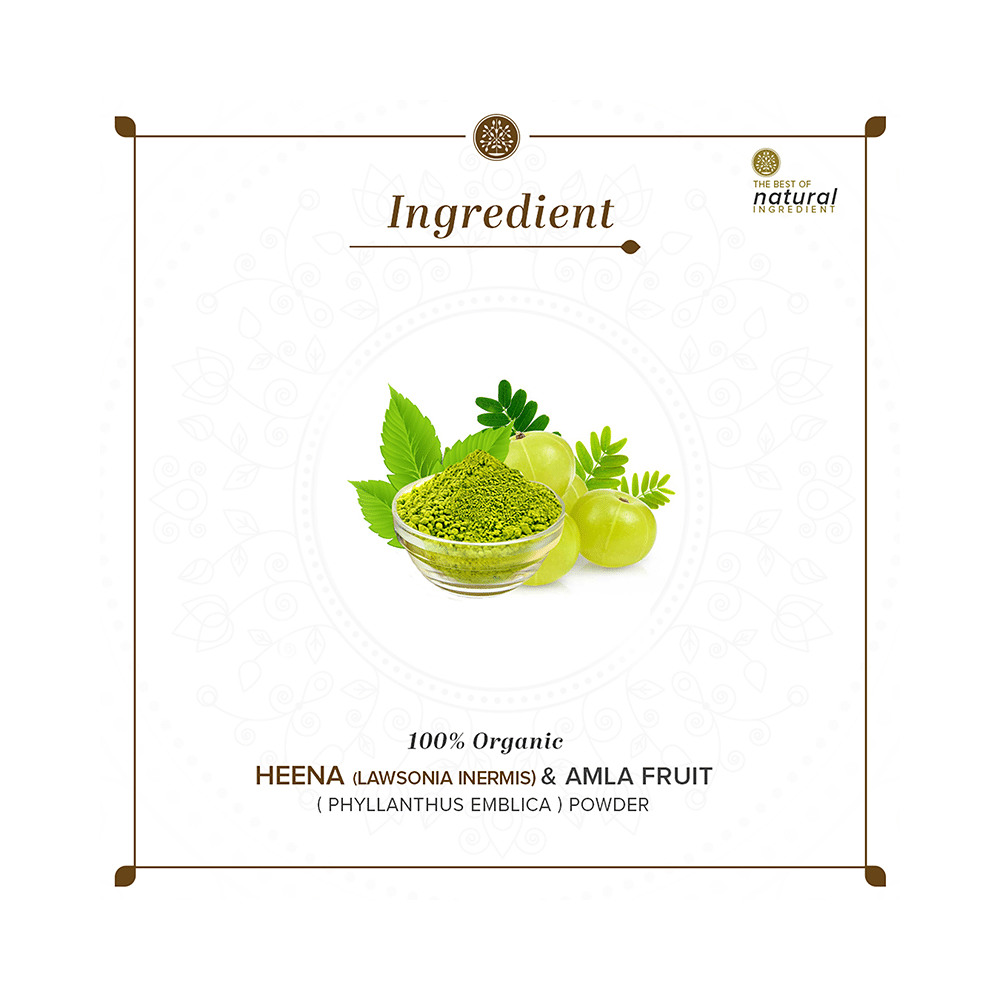 Khadi Naturals Henna & Amla Fruit Powder - Image 6