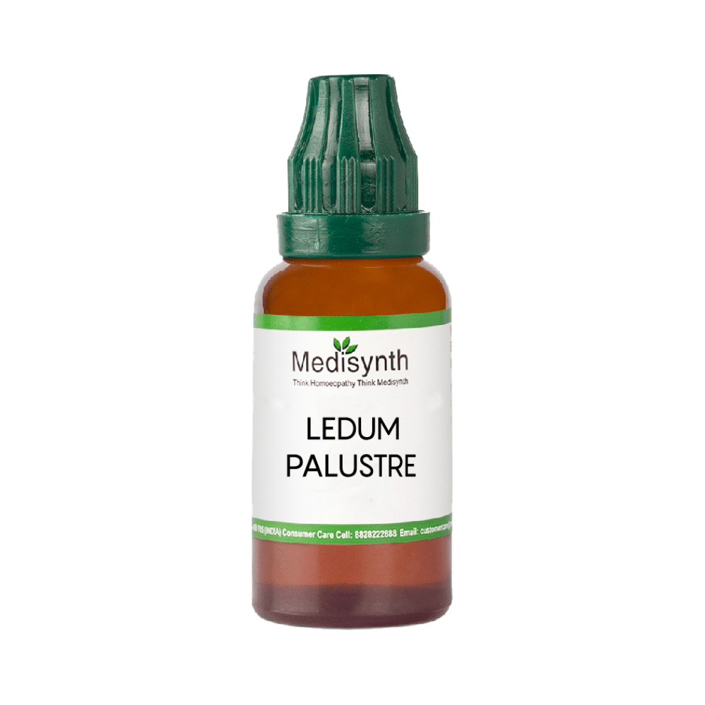 Medisynth Ledum Palustre Dilution 200 - Image 2