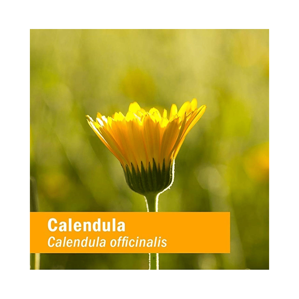 Herb Pharm Calendula Liquid - Image 2