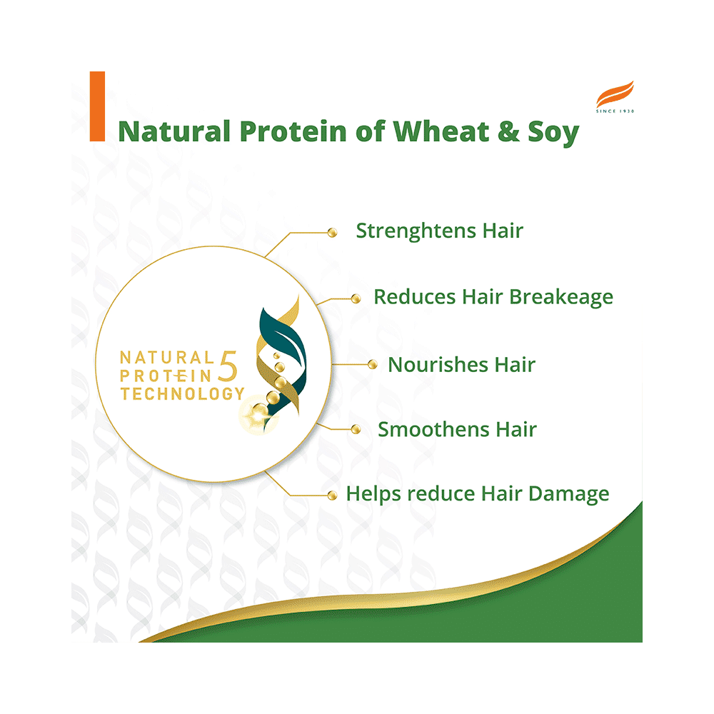 Himalaya Gentle Daily Care Natural Protein Shampoo - Image 6