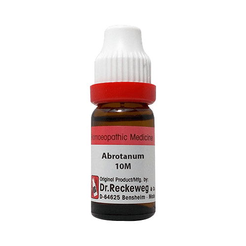 Dr. Reckeweg Abrotanum Dilution 10M CH