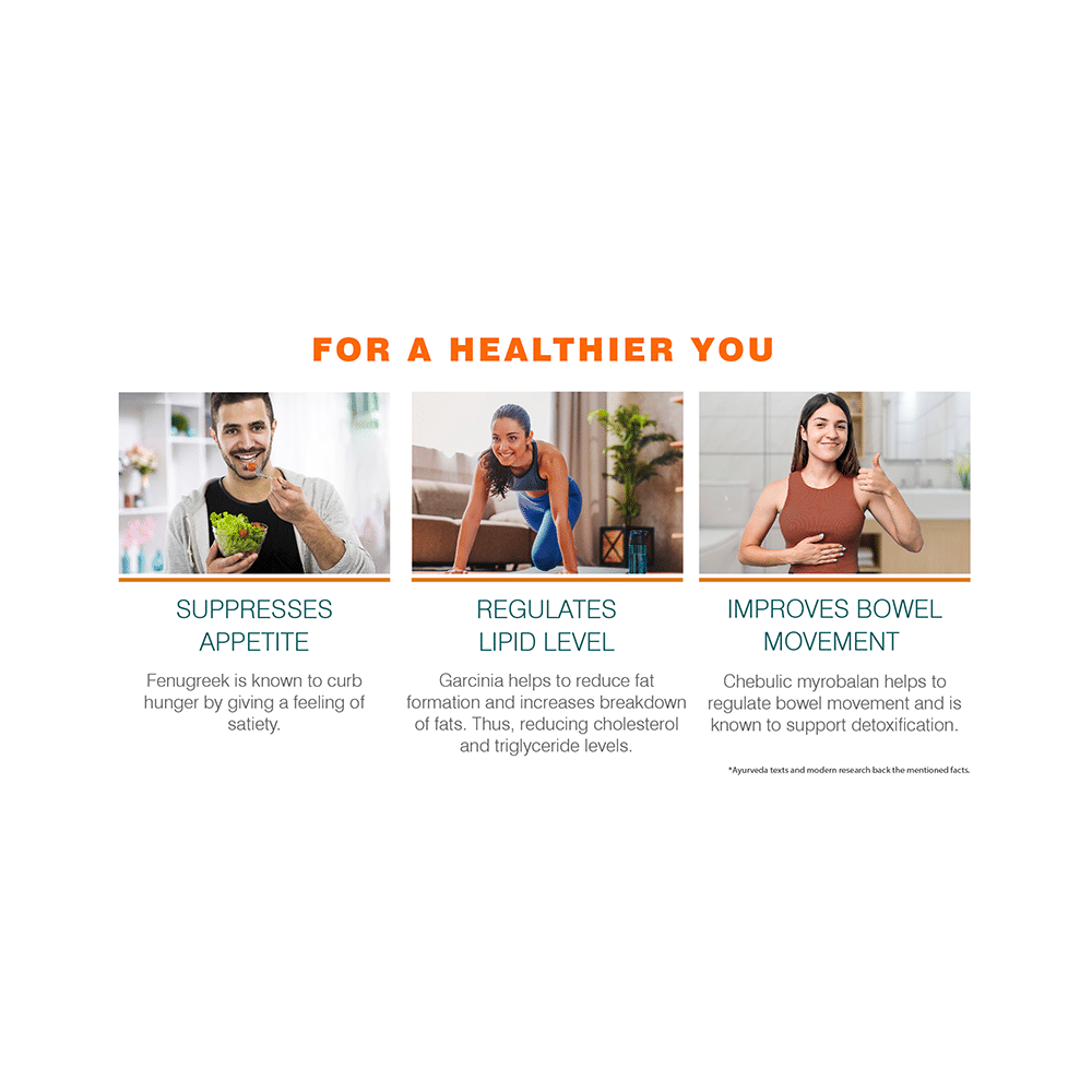 Himalaya Wellness AyurSlim Weight Management - Image 12