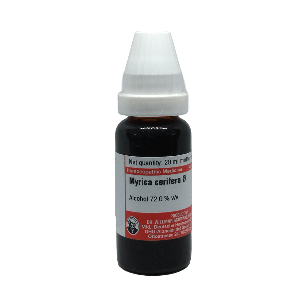 Dr Willmar Schwabe Germany Myrica Cerifera  Mother Tincture Q - Image 1