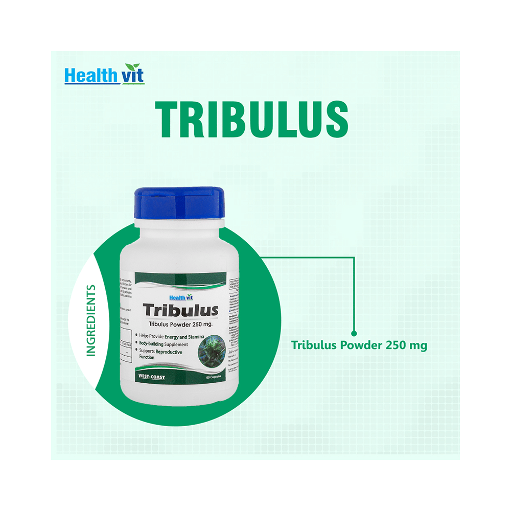 HealthVit Tribulus Terrestris Extract 250mg (Saponin 15.2 %) - Image 5