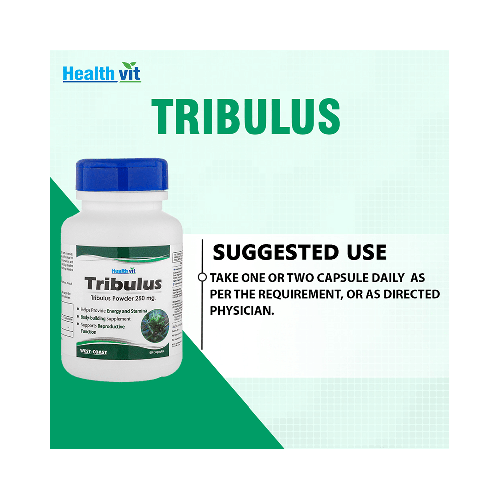 HealthVit Tribulus Terrestris Extract 250mg (Saponin 15.2 %) - Image 6
