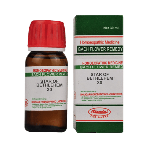 Bhandari Bach Flower Star Of Bethlehem 30 - Image 1