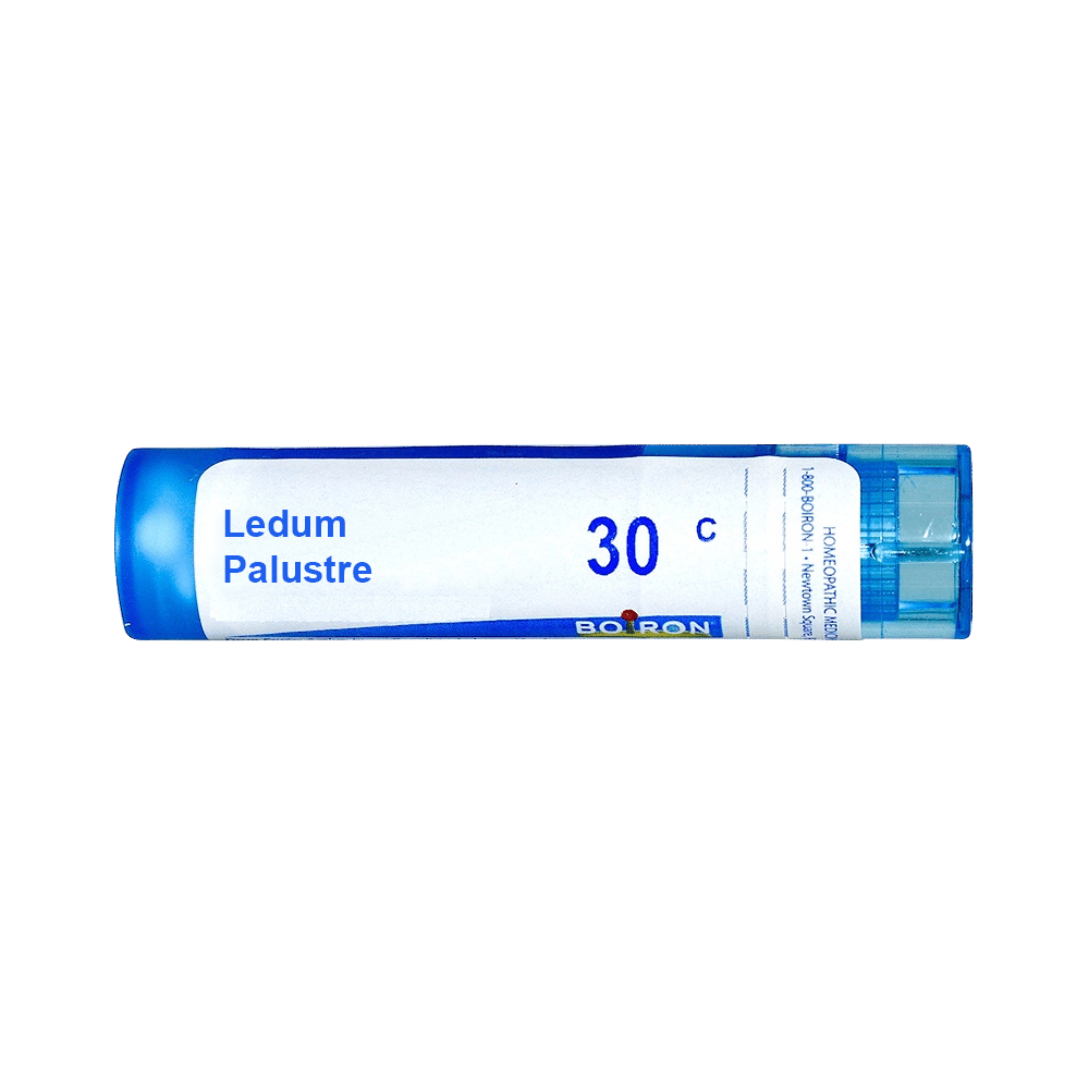 Boiron Ledum Palustre Pellets 30C - Image 1