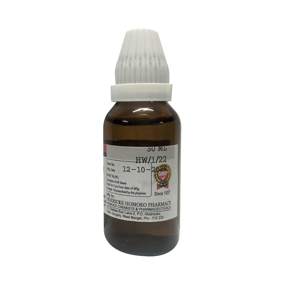 Dr. Majumder Homeo World Arnica Montana Dilution 6 (30ml Each) - Image 2