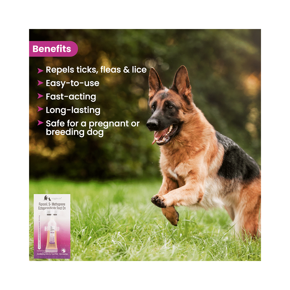 Wiggles Eraditch Spot-On for Dogs 40-60Kg - Image 3