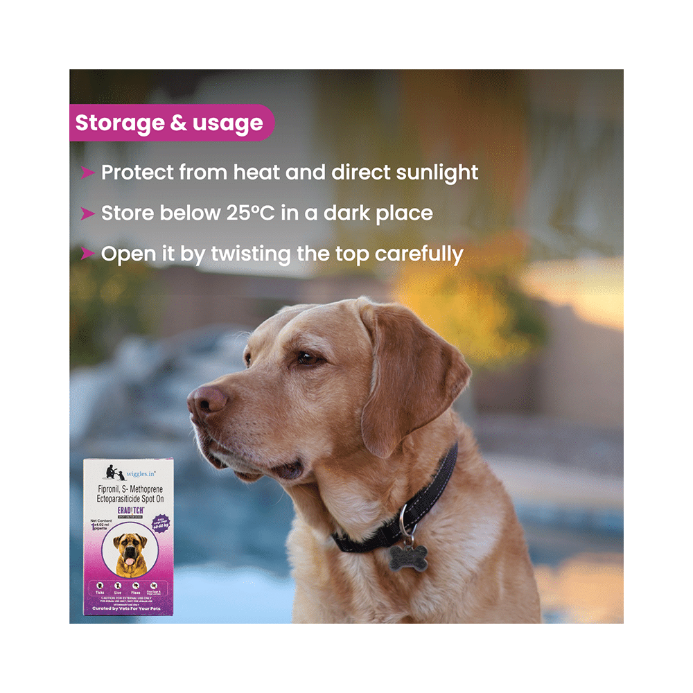 Wiggles Eraditch Spot-On for Dogs 40-60Kg - Image 5