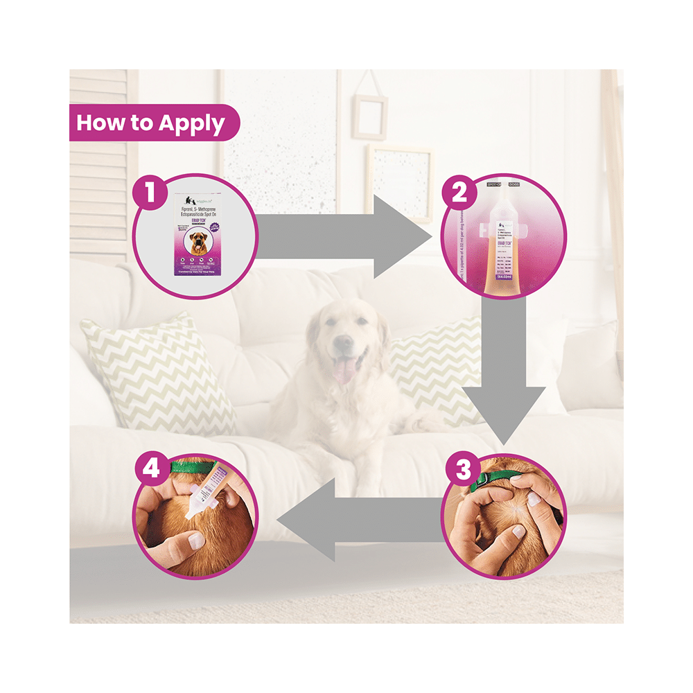 Wiggles Eraditch Spot-On for Dogs 40-60Kg - Image 6