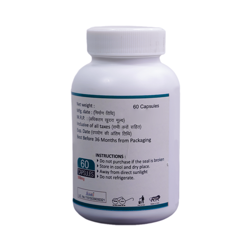 Pylax Capsule - Image 3