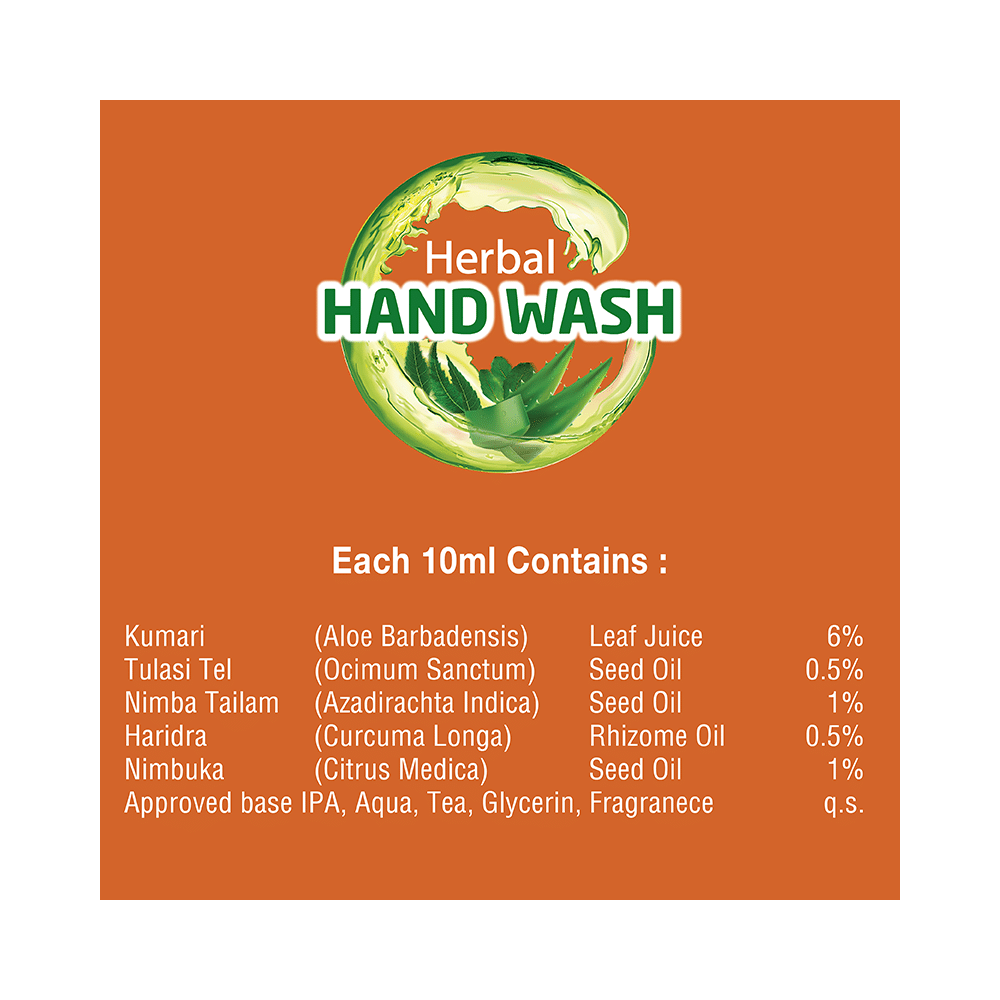 Dwibhashi Herbal Hand Wash Aloevera Neem Tulsi - Image 4