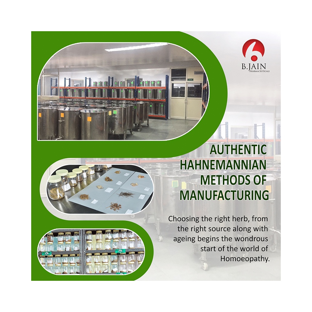 Bjain Abies Nigra Mother Tincture Q - Image 4