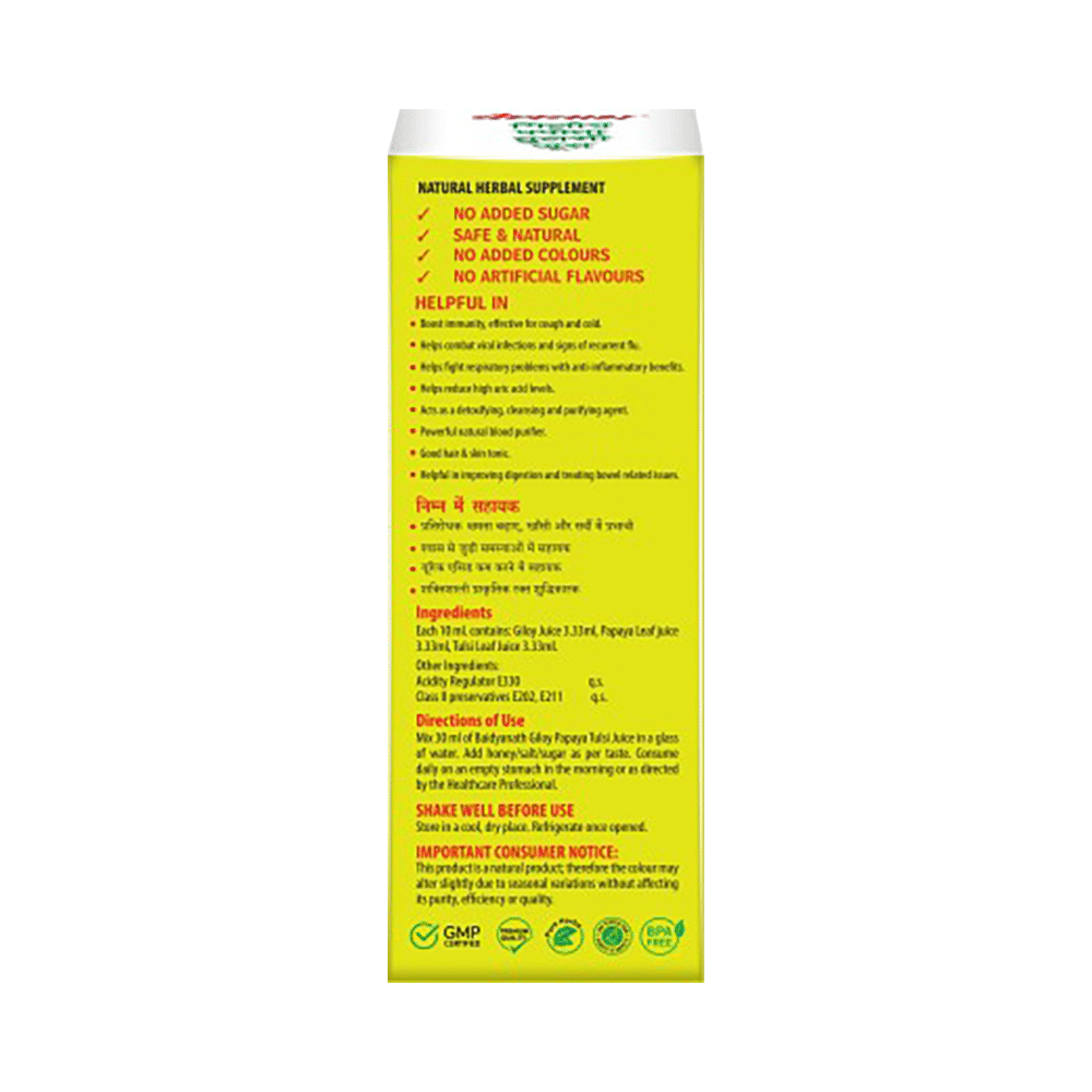Baidyanath (Noida) Giloy Papaya Tulsi Juice - Image 3