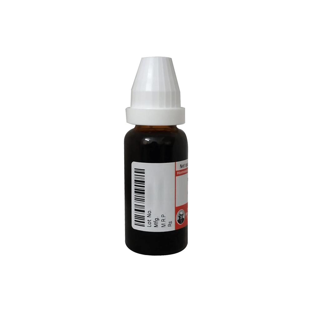 Dr Willmar Schwabe Germany Adonis Vernalis Mother Tincture Q - Image 2